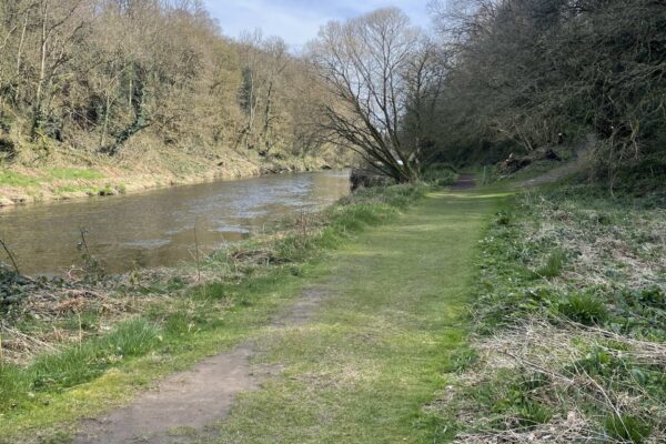 slaney sit spot